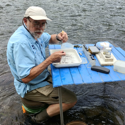 Entomologist Dave Funk seated at a folding table in a stream, sorting aquatic insect samples.