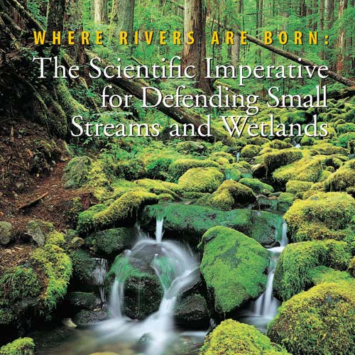 Where Rivers Are Born: The Scientific Imperative for Defending Small Streams and Wetlands