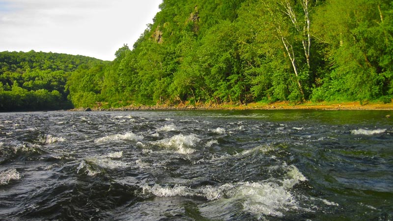 Delaware River with waves in foreground and forested banks in background. Photo by Tim Palmer.