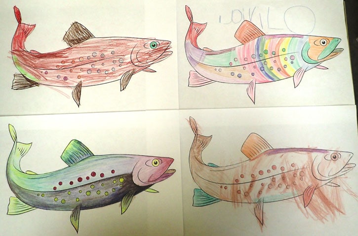 Colorful trout drawings.