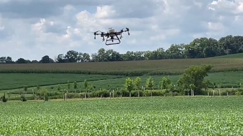 A drone spreading soybean seeds that will grow into a cover crop.