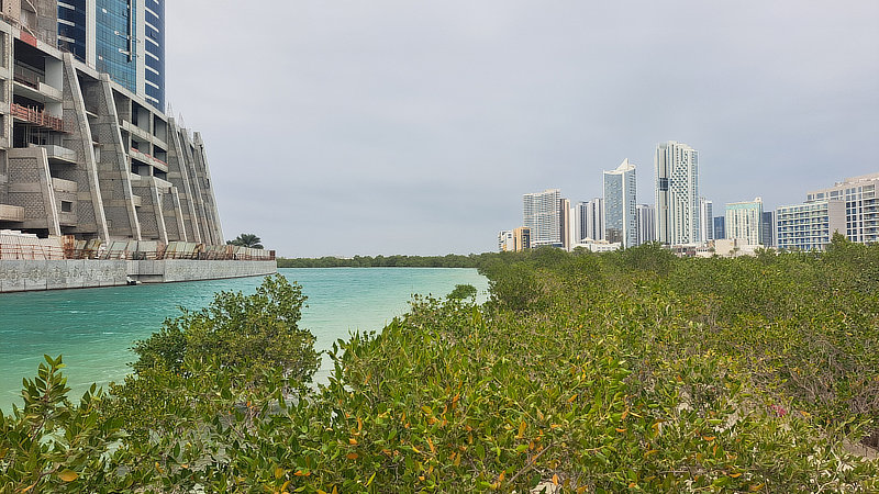 A blue-green waterway in Dubai with vegetation in the foreground and the skyline in the background.