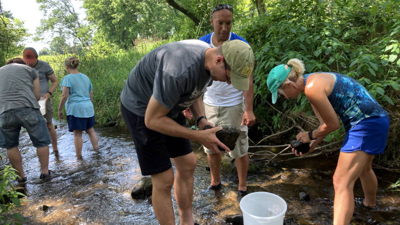 Two groups of three educators collecting aquatic insects from a stream.