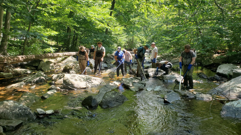 A team from Stroud Water Research Center surveys fish in a National Parks stream.