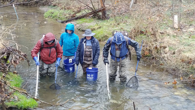 Research technicians electrofishing to survey the fish community in White Clay Creek.