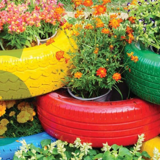 Colorful flowers in painted tire planters.