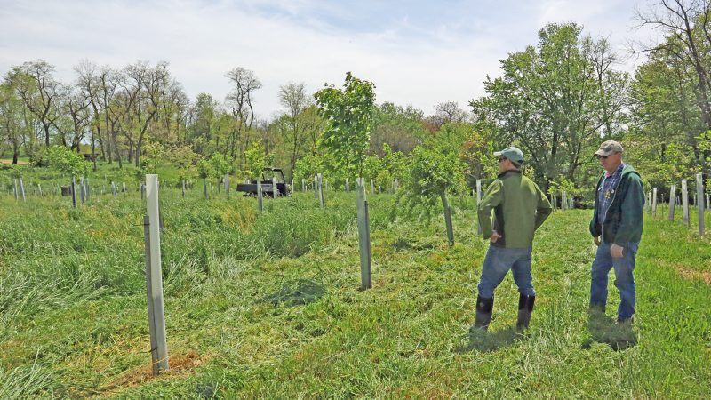 John Young and Lamonte Garber take stock of a three-acre riparian buffer planted on the Young farm.