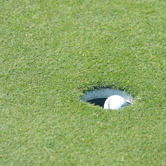 A golf ball in the hole.