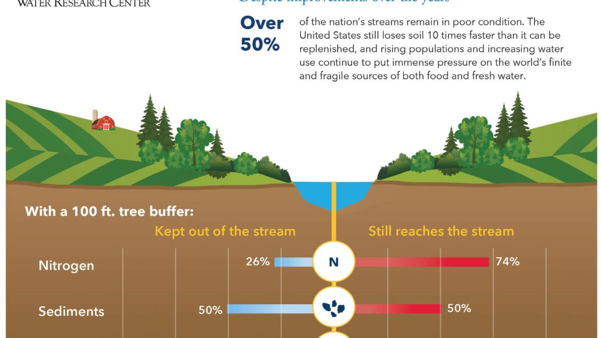 Graphic showing what percentage of nitrogen, sediments, and pesticides are kept out of a stream by a 100-foot tree buffer