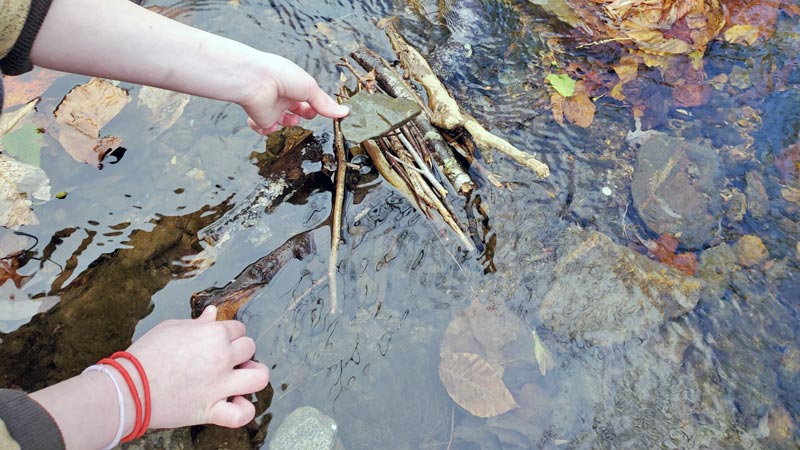 Two hands placing a flat rock on a bundle of small twigs in a stream.