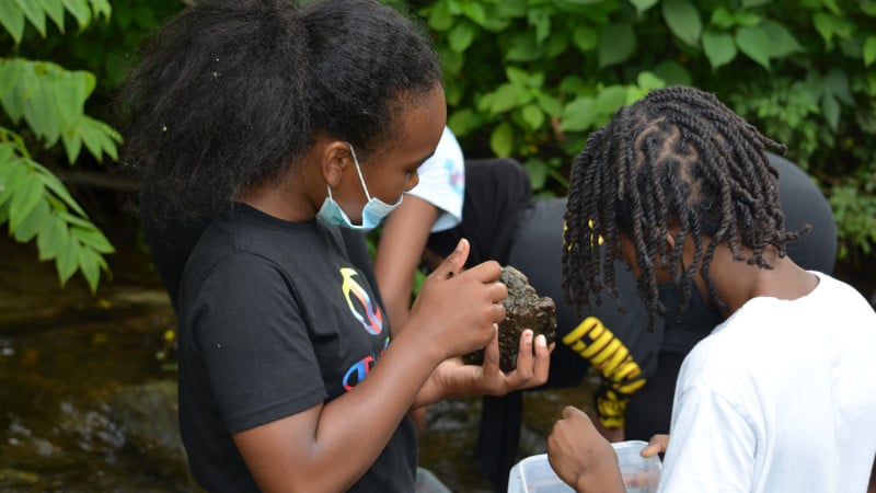 Two Harambee Institute students collect aquatic insects from a stream.