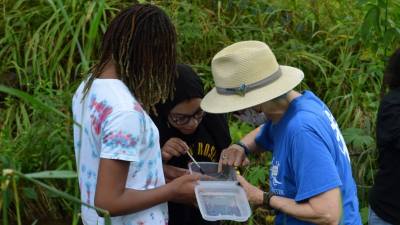 Two Harambee Institute students looking at aquatic macroinvertebrates they collected from a stream.