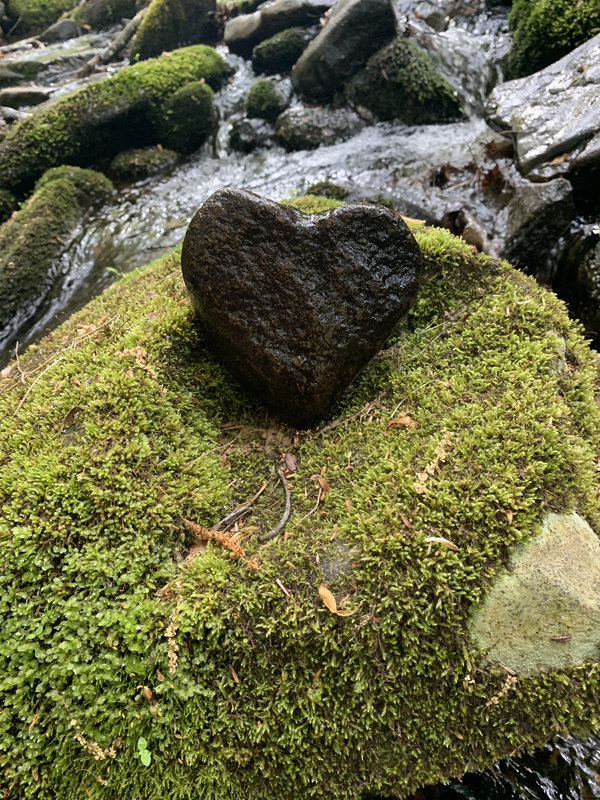 A heart-shaped rock sits on a bed of moss with a stream flowing in the background.
