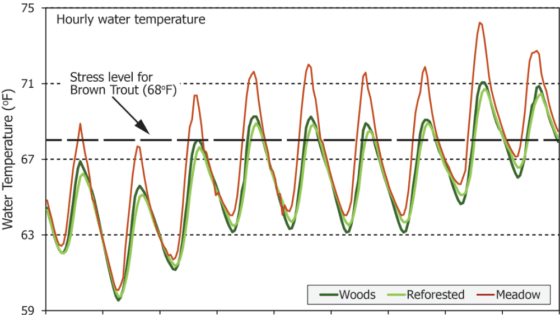 A graph of water temperatures in forested, reforested, and meadow reaches of White Clay Creek during a heat wave in 2024.