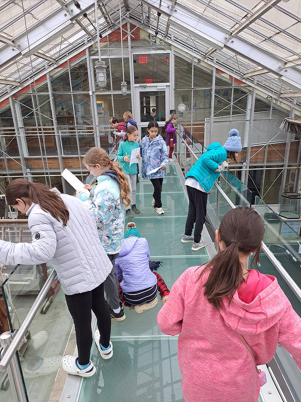 A group of girls on a scavenger hunt in a glass-enclosed streamhouse.