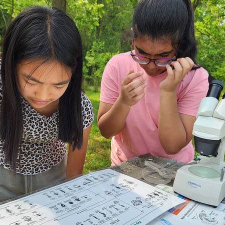 Two girls study a macroinvertebrate key.