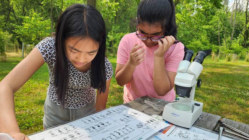 Two girls use a chart to identify stream macroinvertebrates.