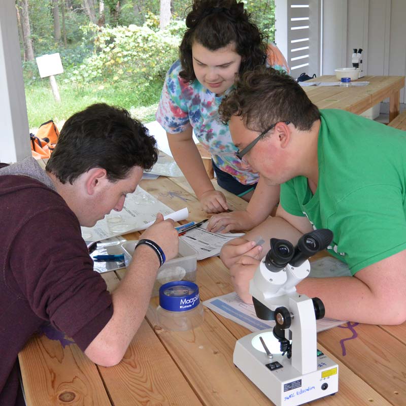 Photo of three high school students using identifying aquatic macroinvertebrates.