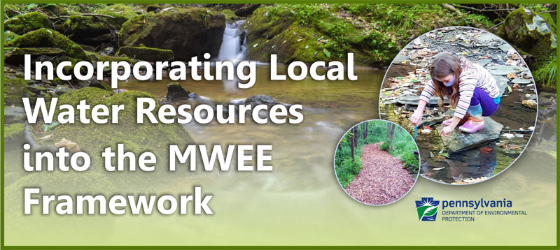 Incorporating Local Water Resources into the MWEE Framework