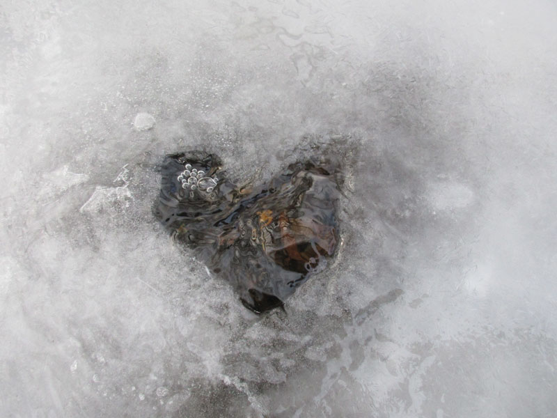 A heart-shaped hole in ice covering a stream.