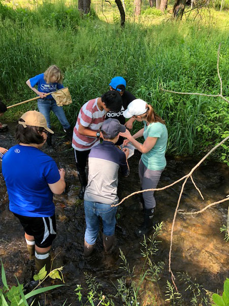Students collecting stream macroinvertebrates