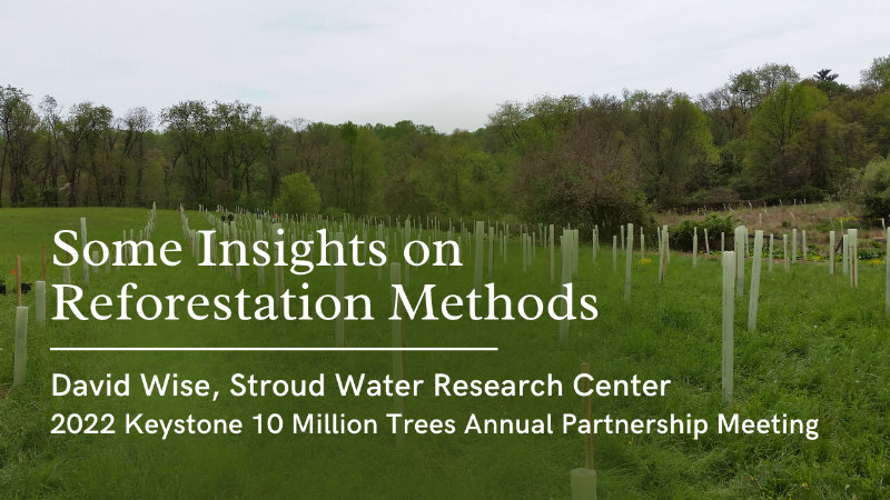 Some Insights on Reforestation Methods