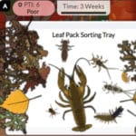 Leaf Pack Network Simulation screenshot