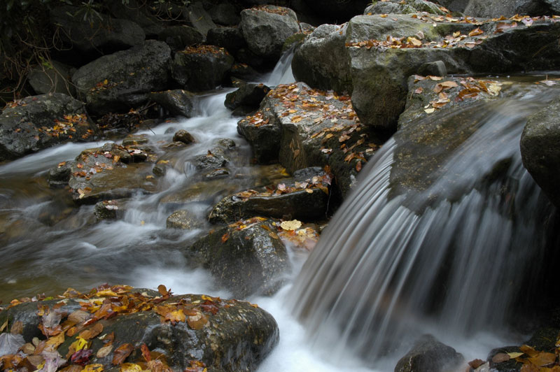 NSF Funds Study of Landscape Restoration Effects on Stream