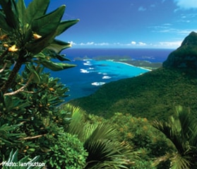 Lord Howe Island covered in lush vegetation and surrounded by blue ocean waters.