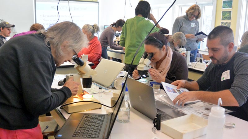 Adults of all ages learning to identify aquatic macroinvertebrates in a workshop.