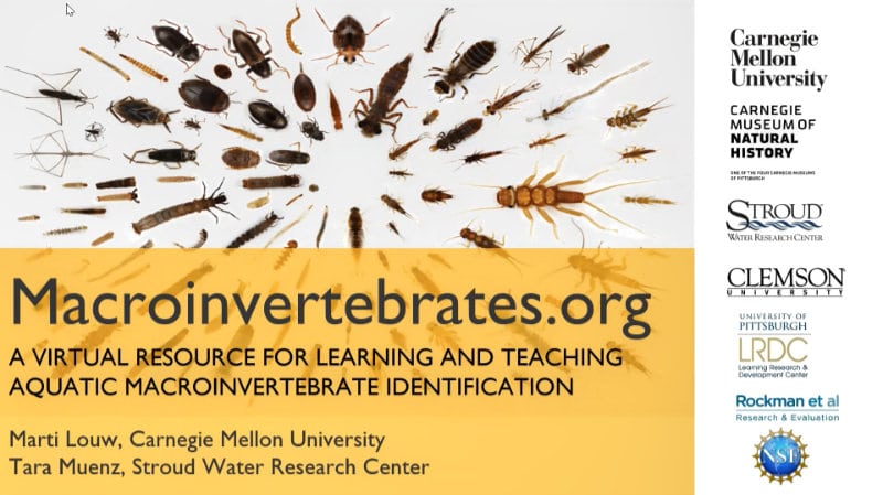 Macroinvertebrates.org webinar video
