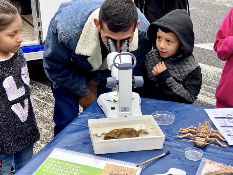 A man looks through a microsope at aquatic insects while two children watch.