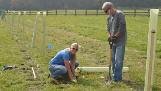 A woman and a man plant a tree in a new riparian buffer.