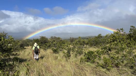 A man walks through a Costa Rican landscape of grass and shrubs with a brilliant rainbow above.