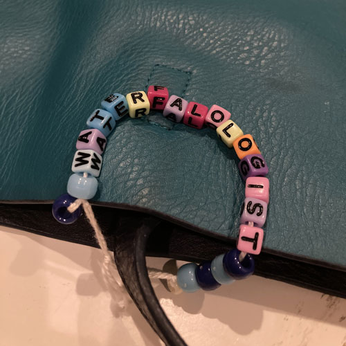 Kristen McCarthy's "Waterfallologist" bracelet