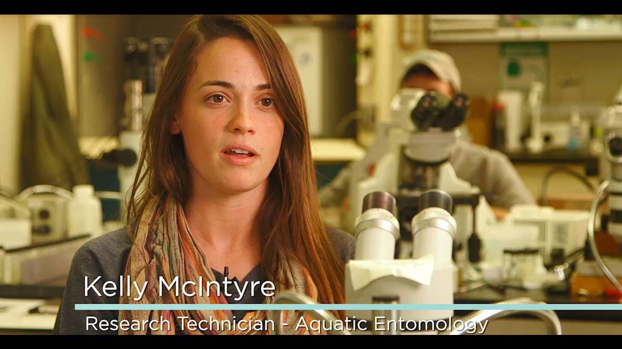 Water Science Careers: Aquatic Entomology