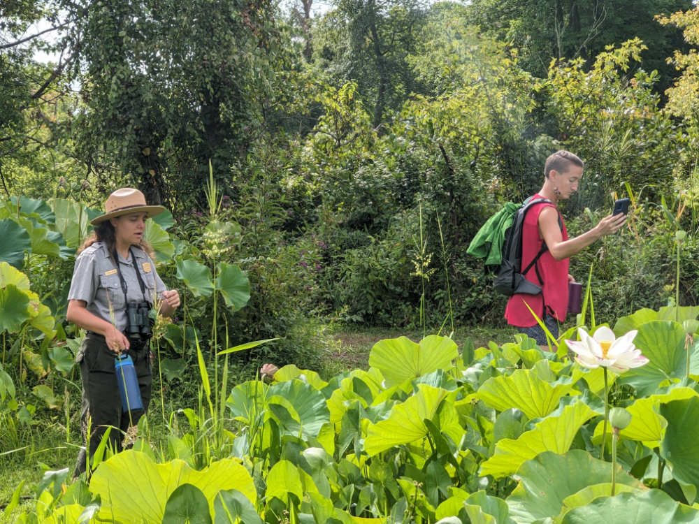 A National Park Service ranger and Kathryn Metzker view a pond full of waterlilies.