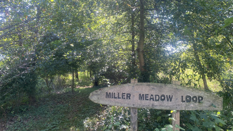 A wooden sign marks the Miller Meadow Loop walking path through the riparian buffer.