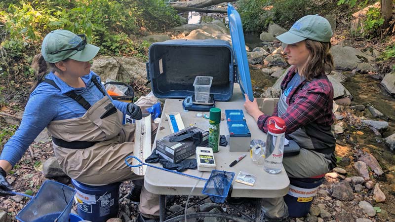 Research technicians weigh, identify, and record fish and amphibians sampled during a stream survey.