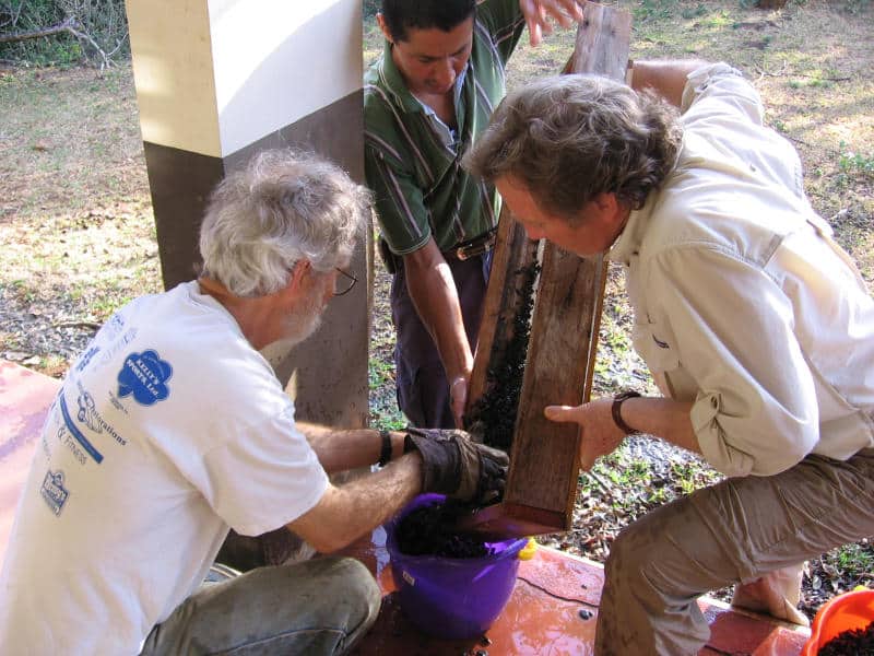 Three scientists work together to prepare materials for an experiment in Costa Rica.