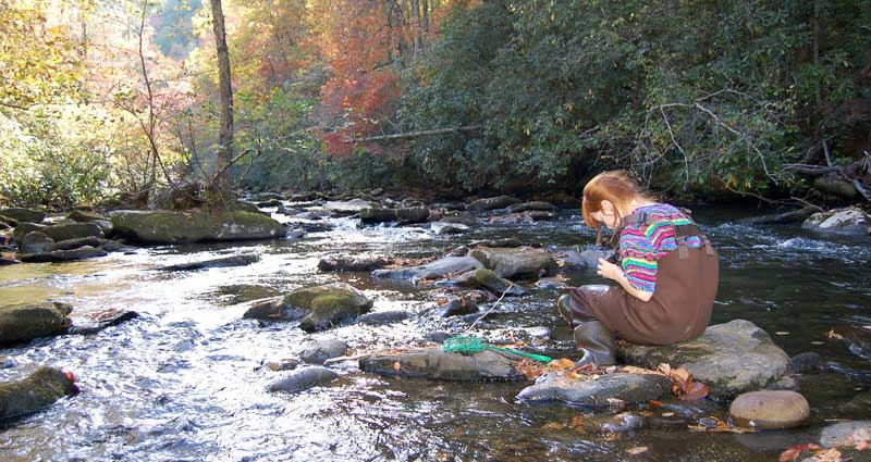 Mandy Nix sorting specimens while sitting on a rock in a stream
