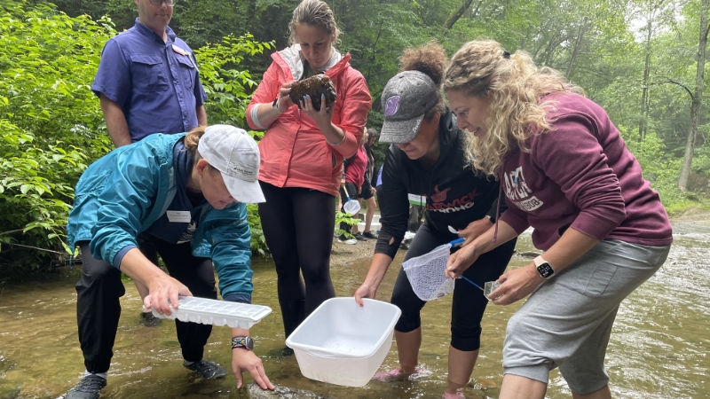Teachers collect macroinvertebrates from a stream.