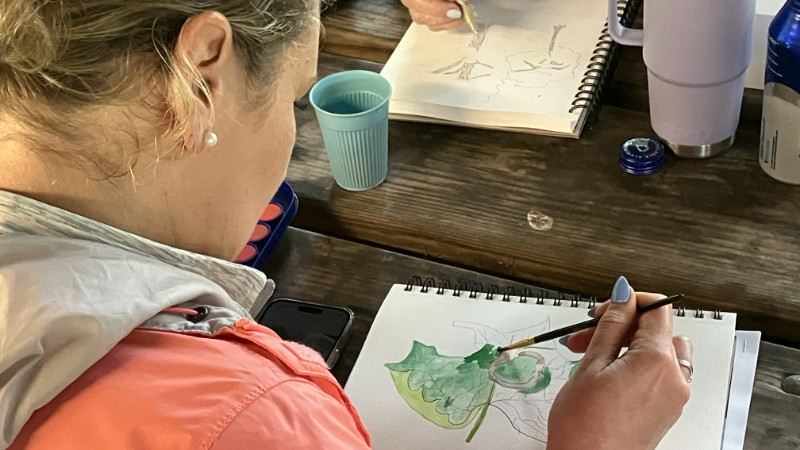 A teacher paints with watercolors in a nature journal.