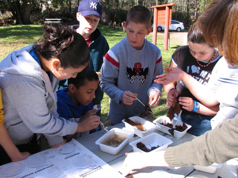 Students in Oregon performing a leaf pack experiment.