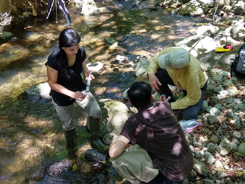 Stroud Center scientists Diana Oviedo-Vargas, Jinjun Kan, and Lou Kaplan sample a Costa Rican stream