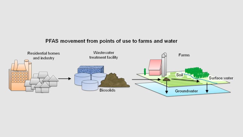 PFAS movement from points of use to farms and water.
