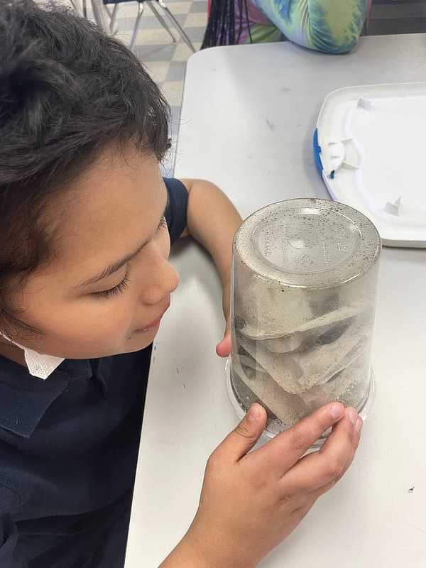 An elementary student looks at crickets in a jar during after-school environmental club.