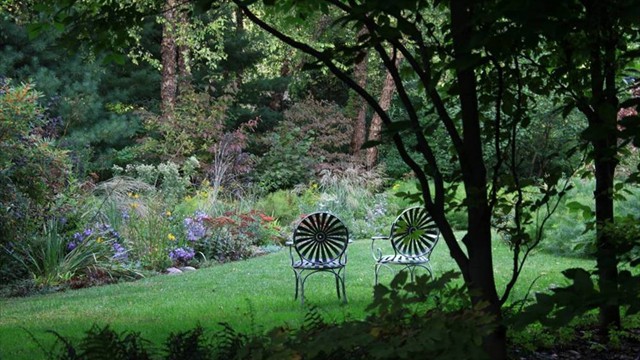 Two chairs sit in a small lawn area surrounded by native plantings.