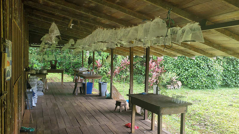 Research equipment and samples on the porch at Pitilla Biological Station.