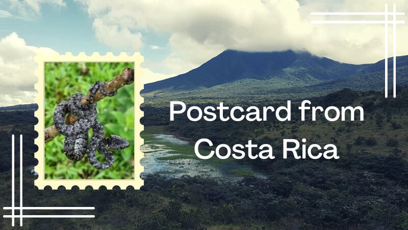 Postcard from Costa Rica